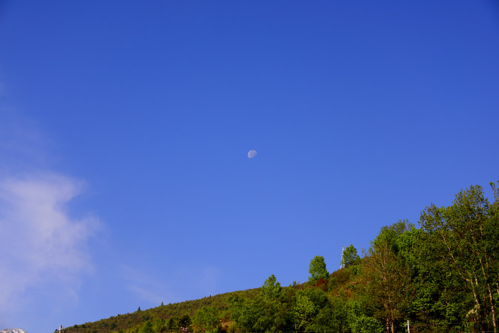 DSC_4136 - .JPG