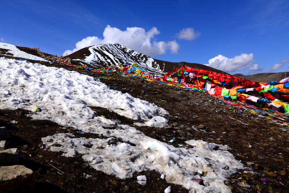 DSC_4245 - .JPG