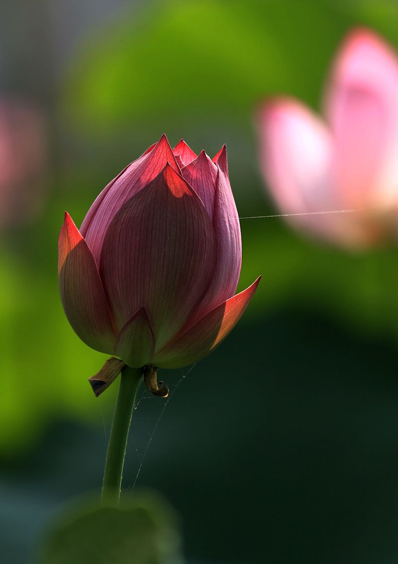 5Y6A3015_.jpg