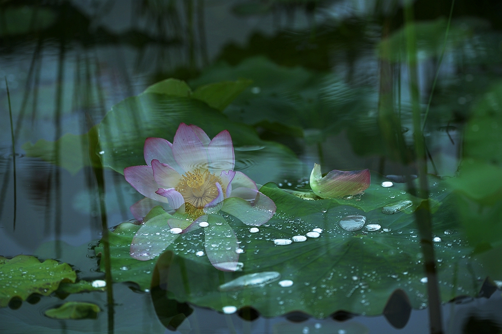 DSC_6412_.jpg