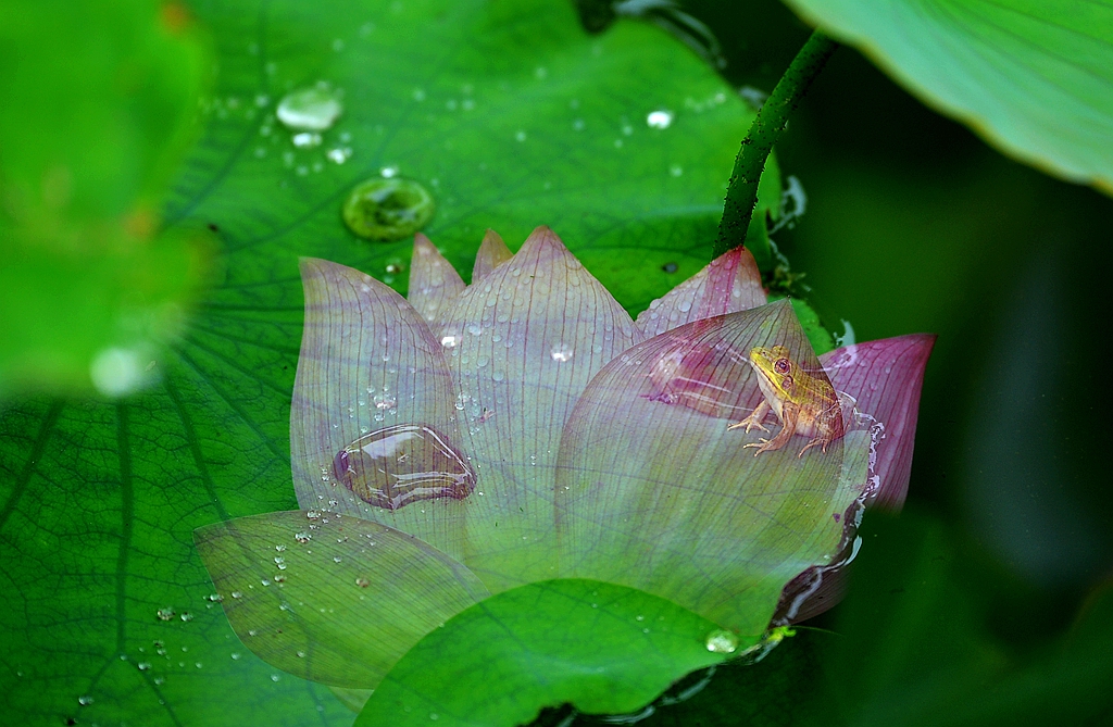 DSC_6444_.jpg