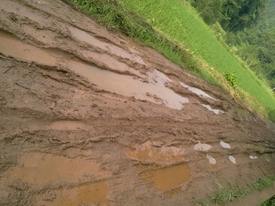 QQͼƬ20150624083238.jpg