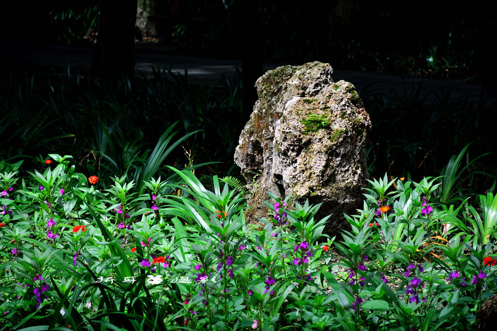 DSC_0071_.jpg