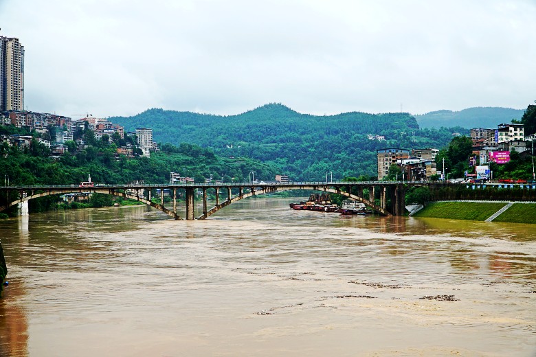 DSC01169_conew1.jpg