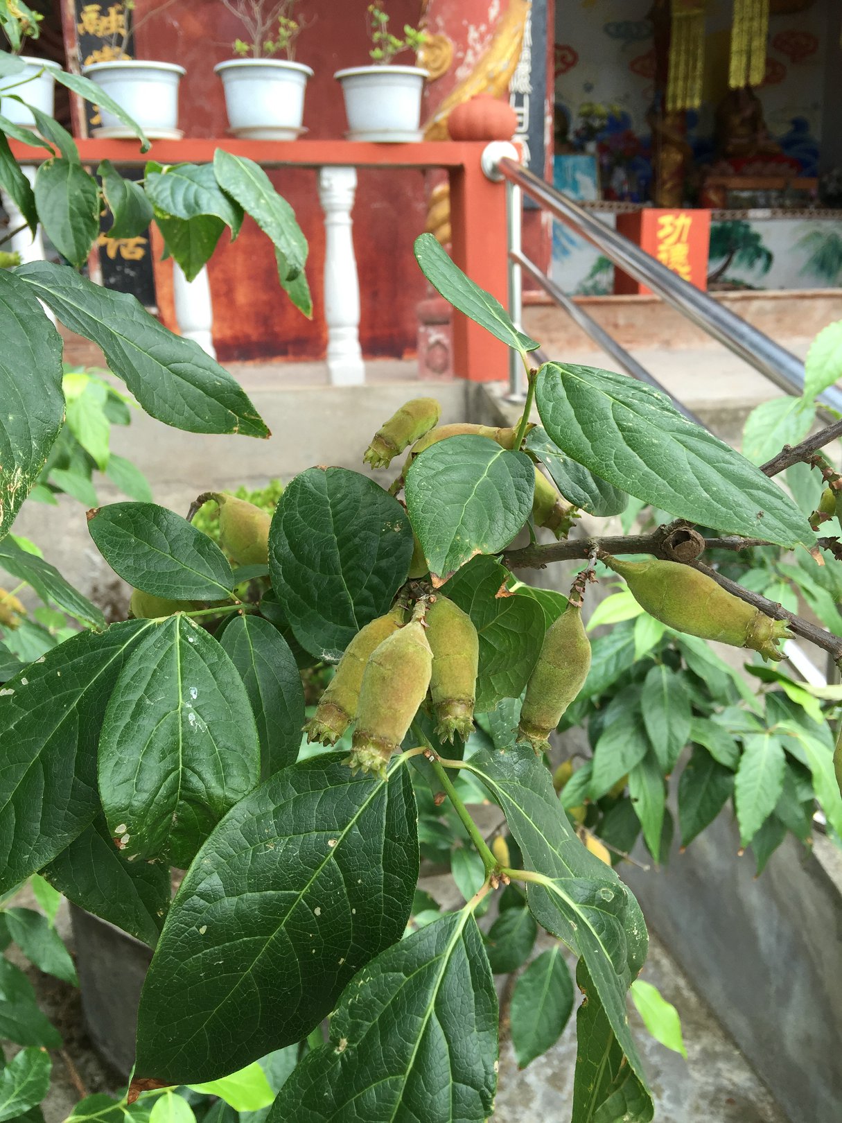 IMG_0000109.JPG