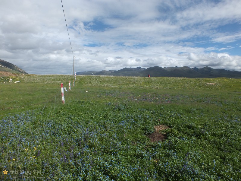 psb (11).jpg