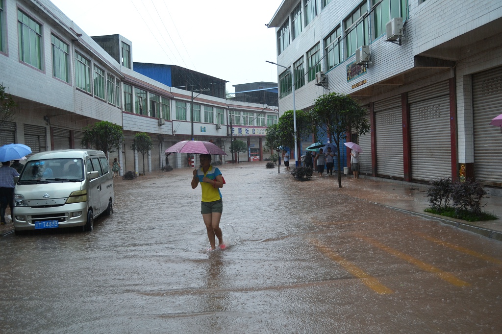 DSC_1347.JPG