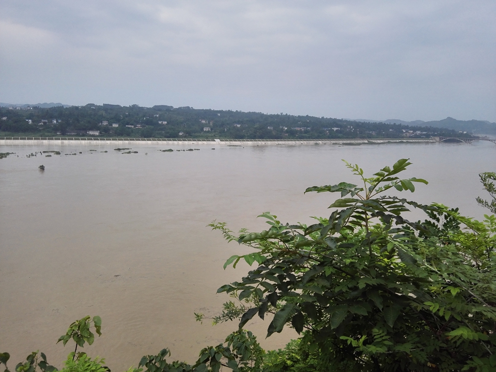 IMG_20150629_071817.jpg
