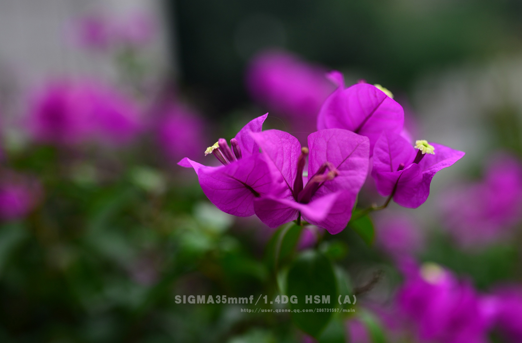 DSC_3589.jpg