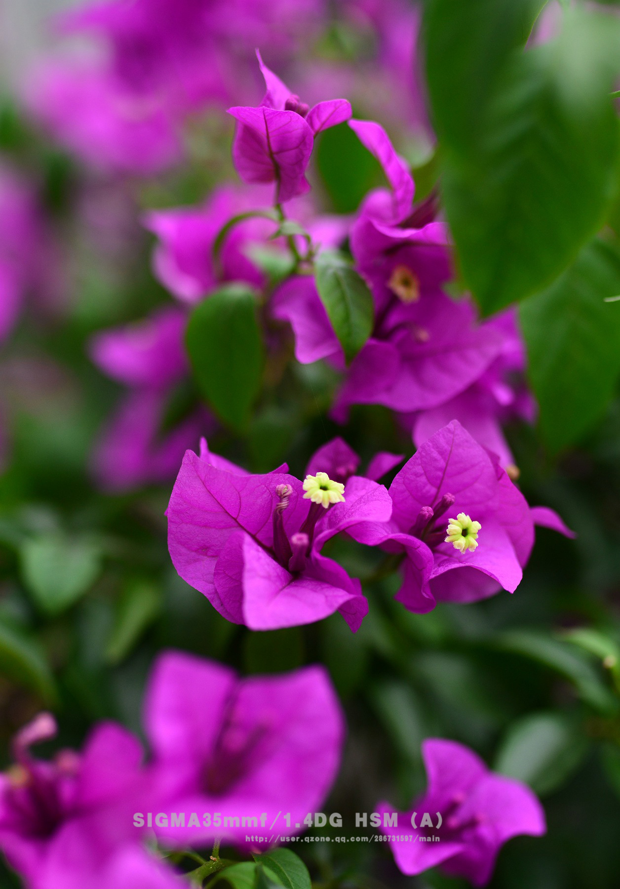 DSC_3593.jpg