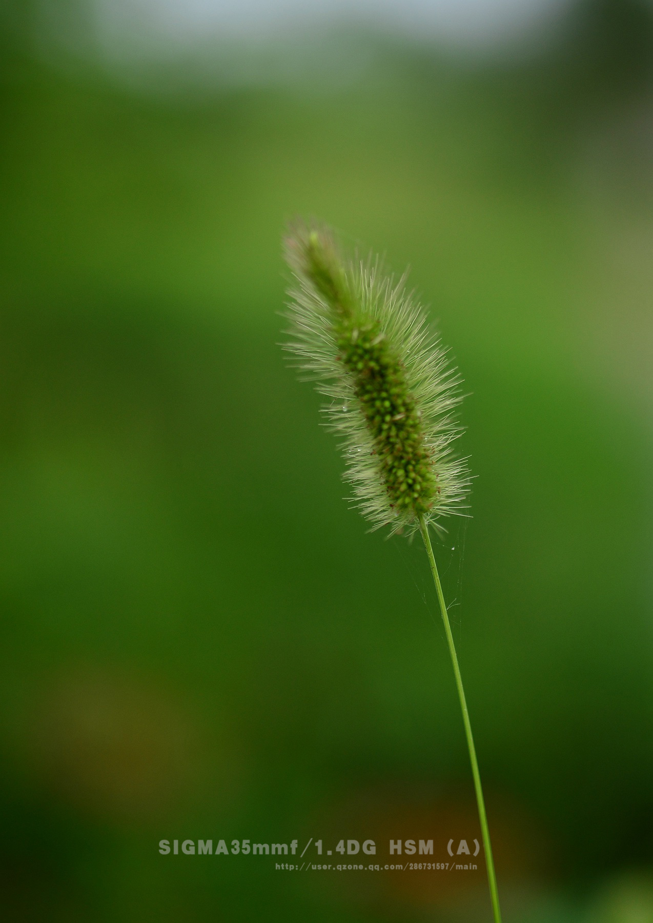 DSC_3624.jpg