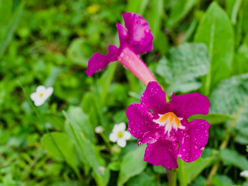 DSC_1057.gif