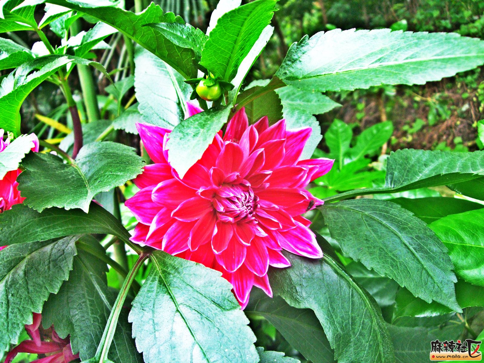 2015-6-27կ 021_meitu_8.jpg