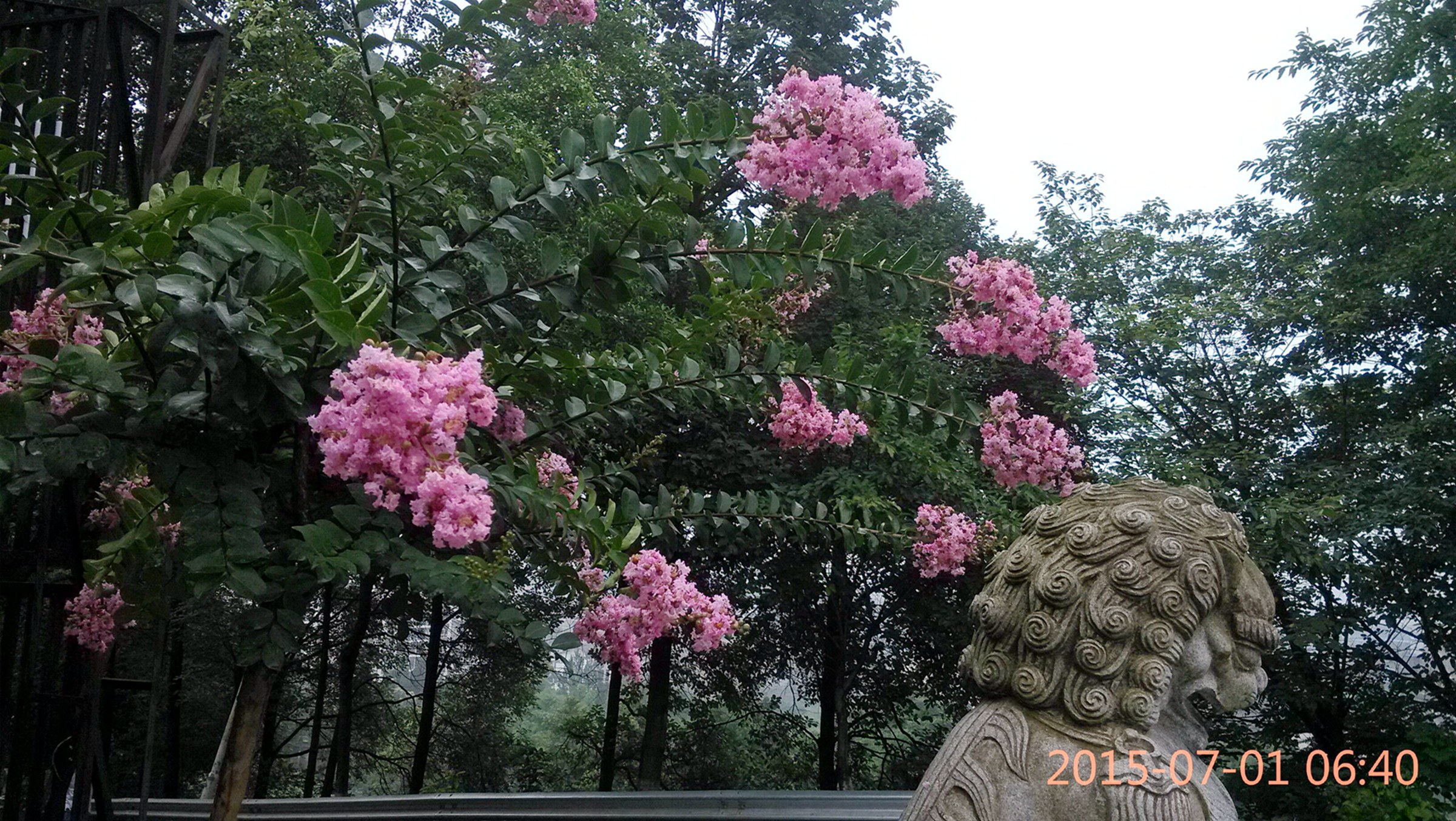 QQͼƬ20150701154426.jpg