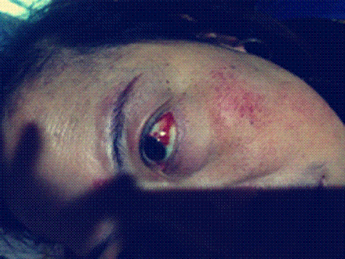 IMG_3342_.GIF
