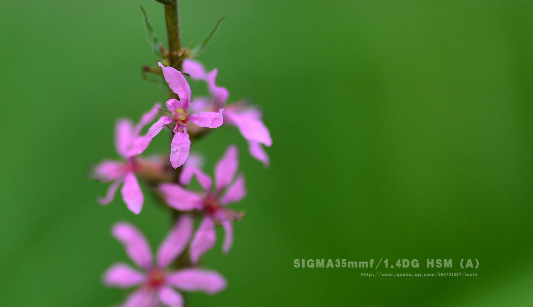 DSC_3640.jpg