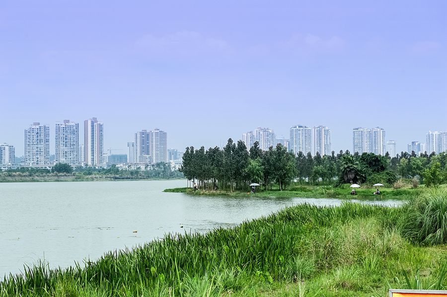 _DSC3120ʪ_.jpg