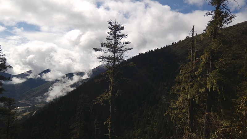 IMG_20150513_093542.jpg