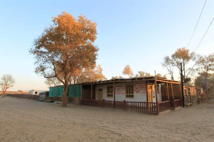 新疆大漠中的突厥野人村