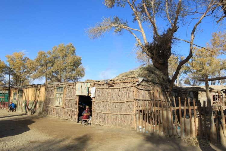 新疆大漠中的突厥野人村