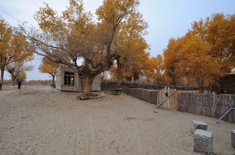 新疆大漠中的突厥野人村