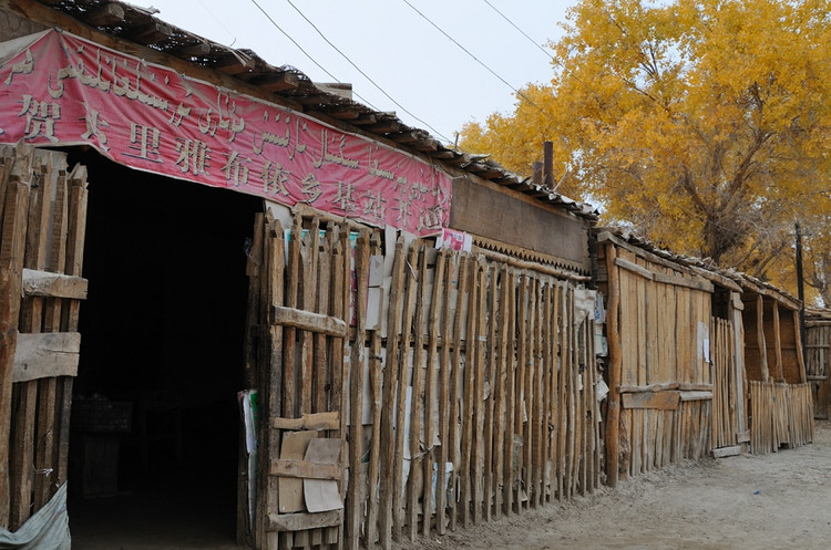 新疆大漠中的突厥野人村