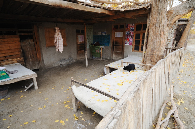 新疆大漠中的突厥野人村