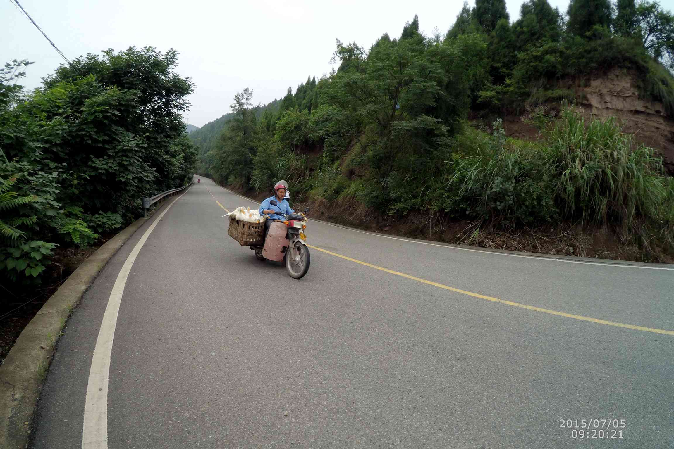 YDXJ0736.jpg
