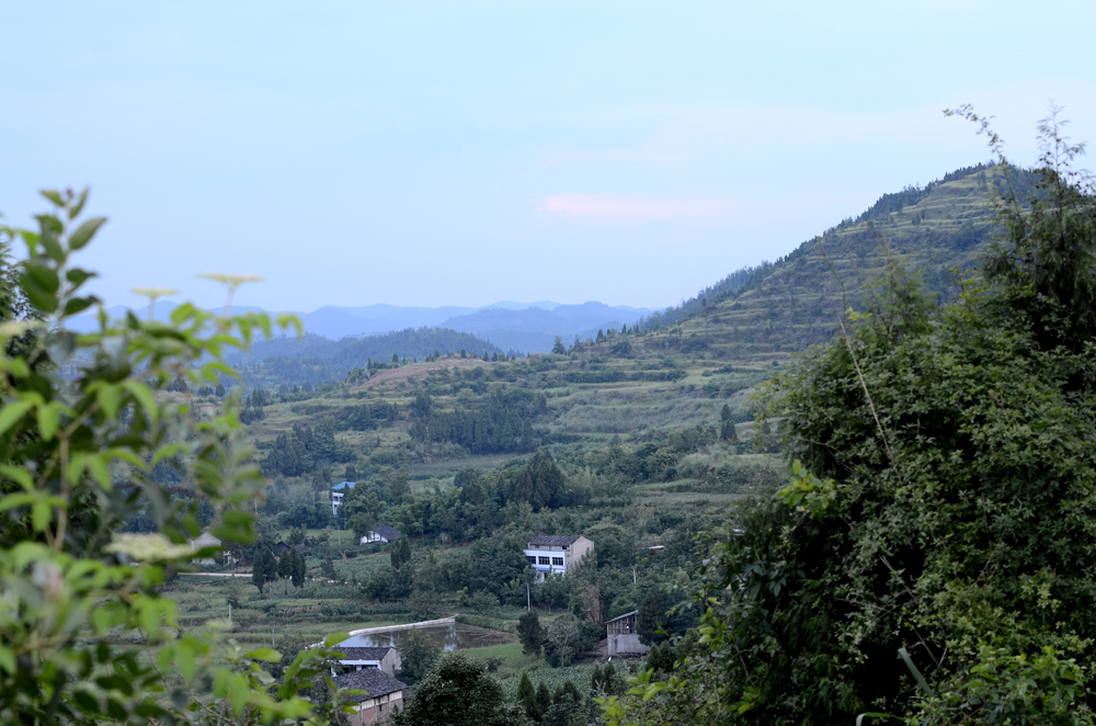 DSC_4833.JPG