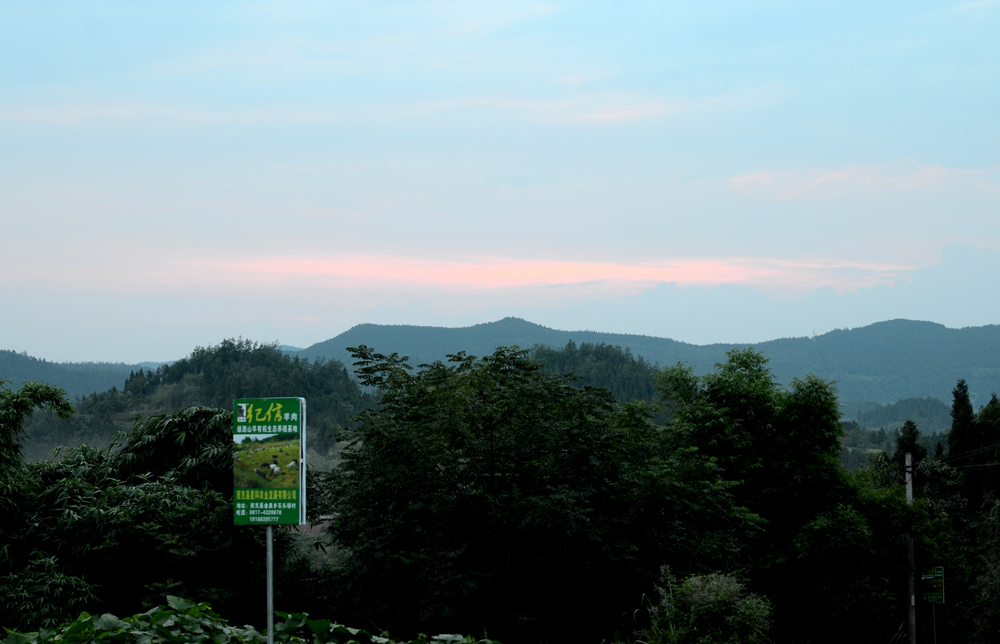 DSC_4838.JPG