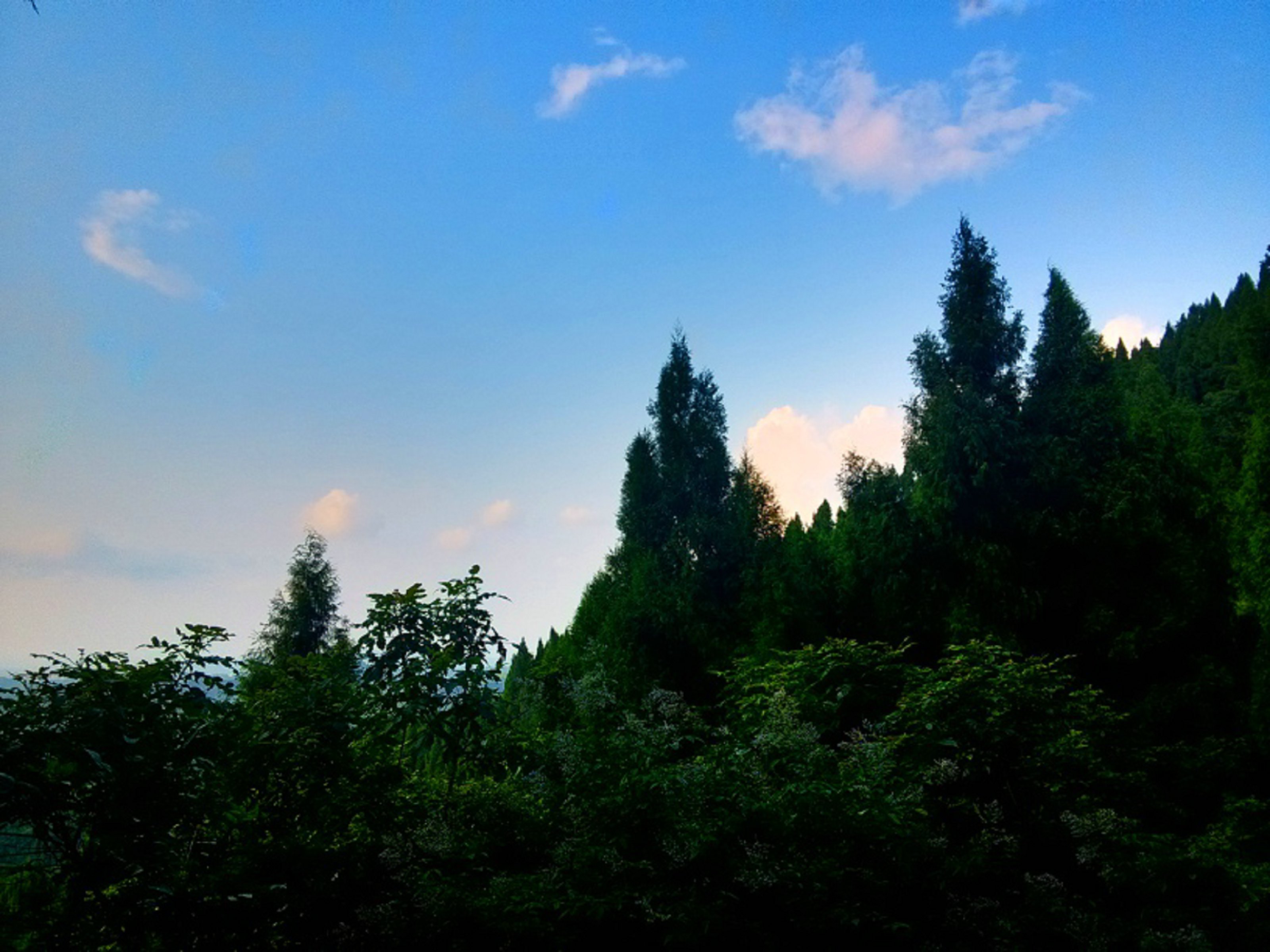 IMG_20150705_183659_HDR.jpg