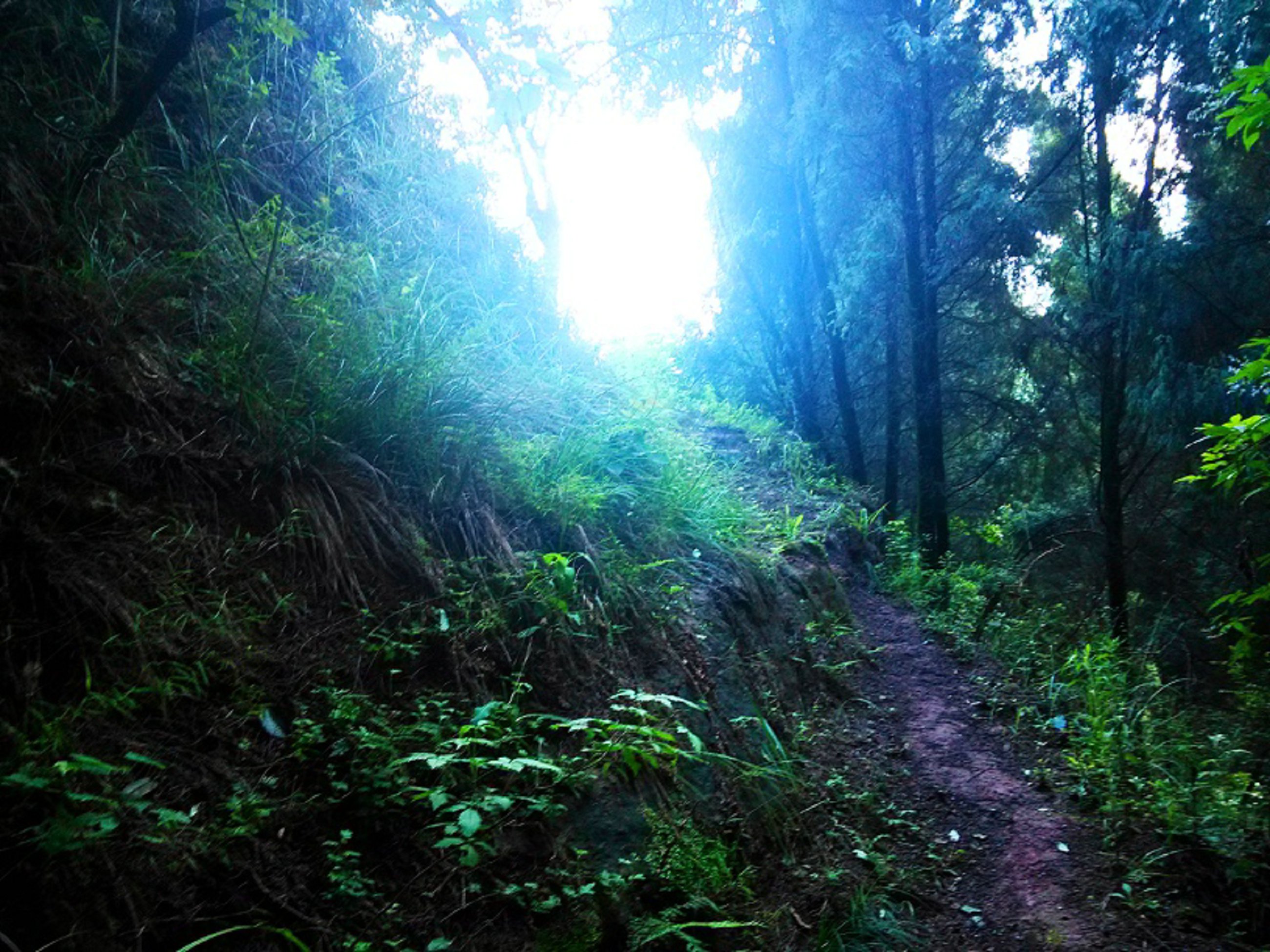 IMG_20150705_183814_HDR.jpg