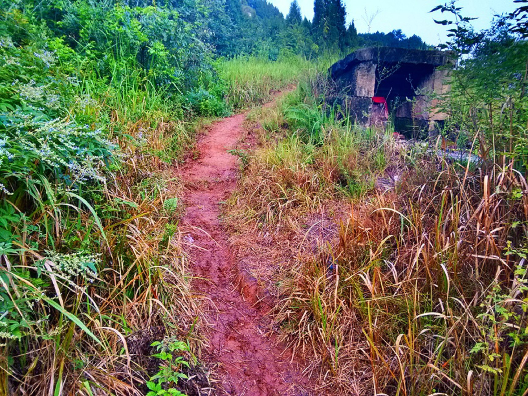 IMG_20150705_183932_HDR.jpg