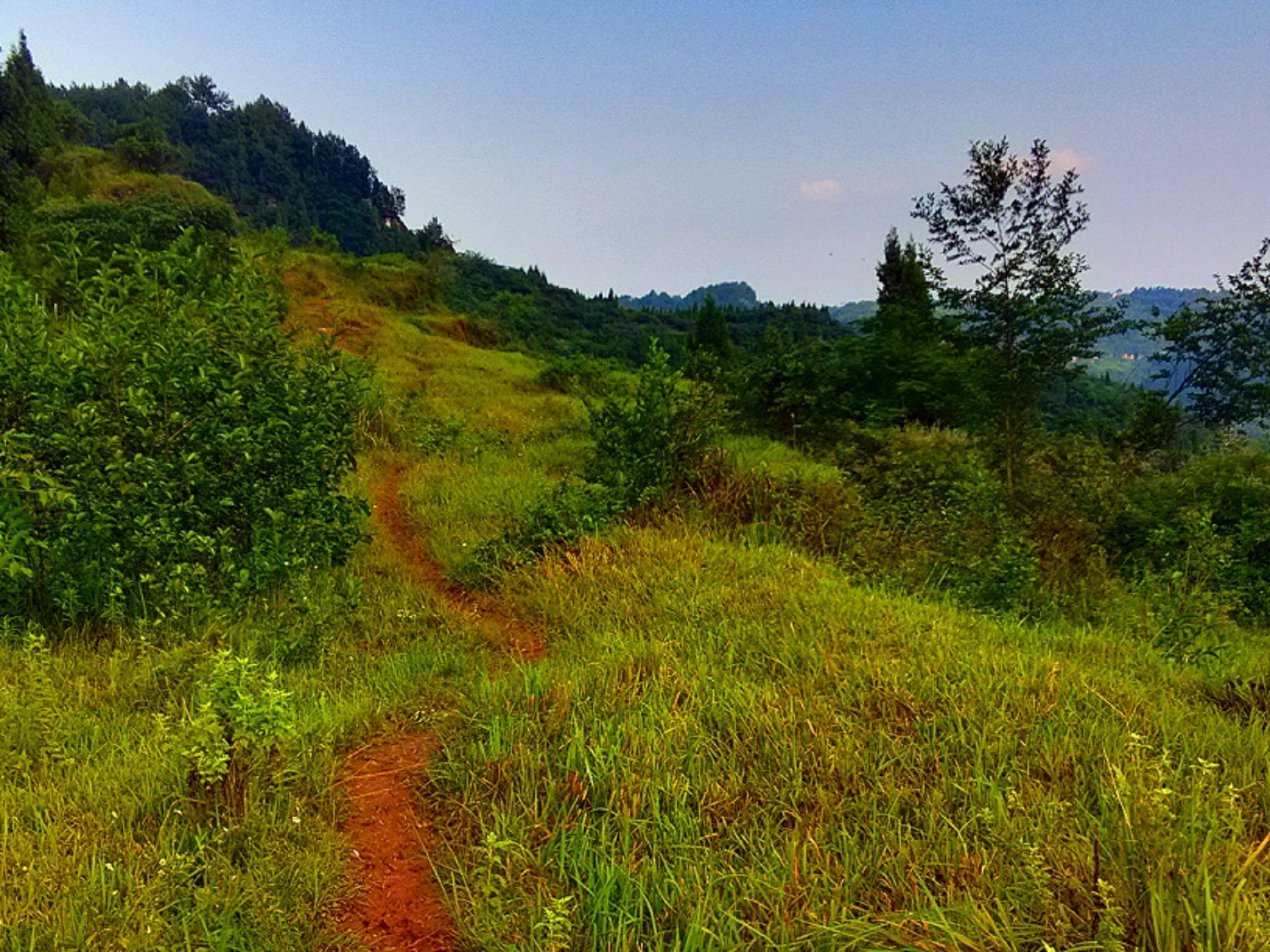 IMG_20150705_184012_HDR.jpg