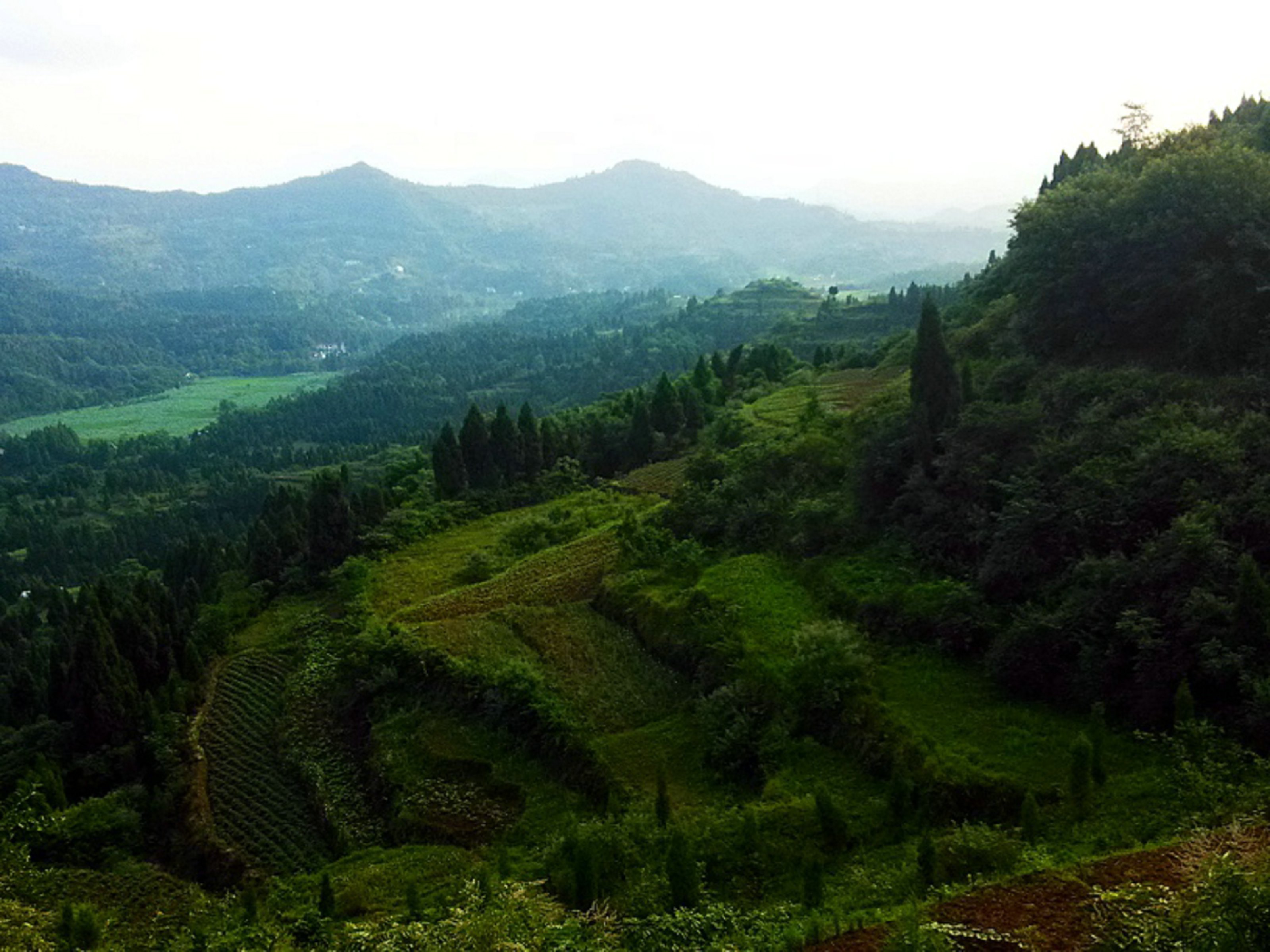 IMG_20150705_184201_HDR.jpg
