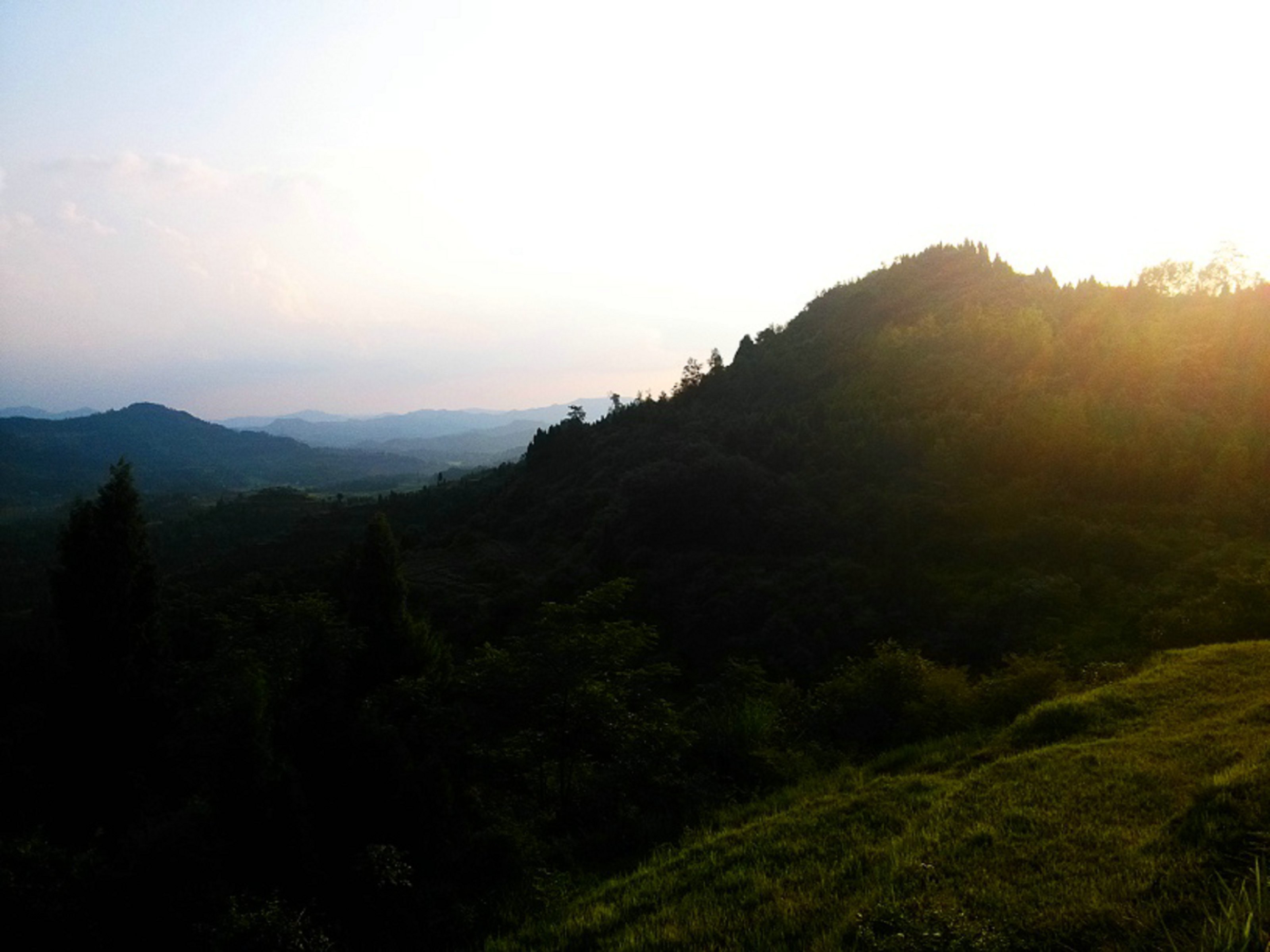 IMG_20150705_184646_HDR.jpg