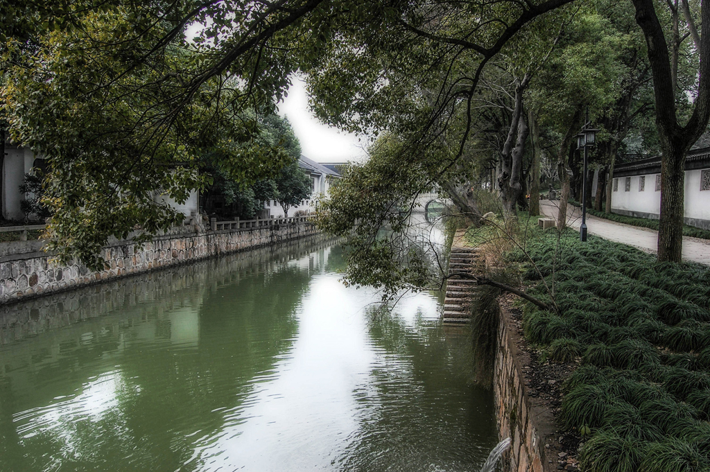 DSC_0340-2.jpg