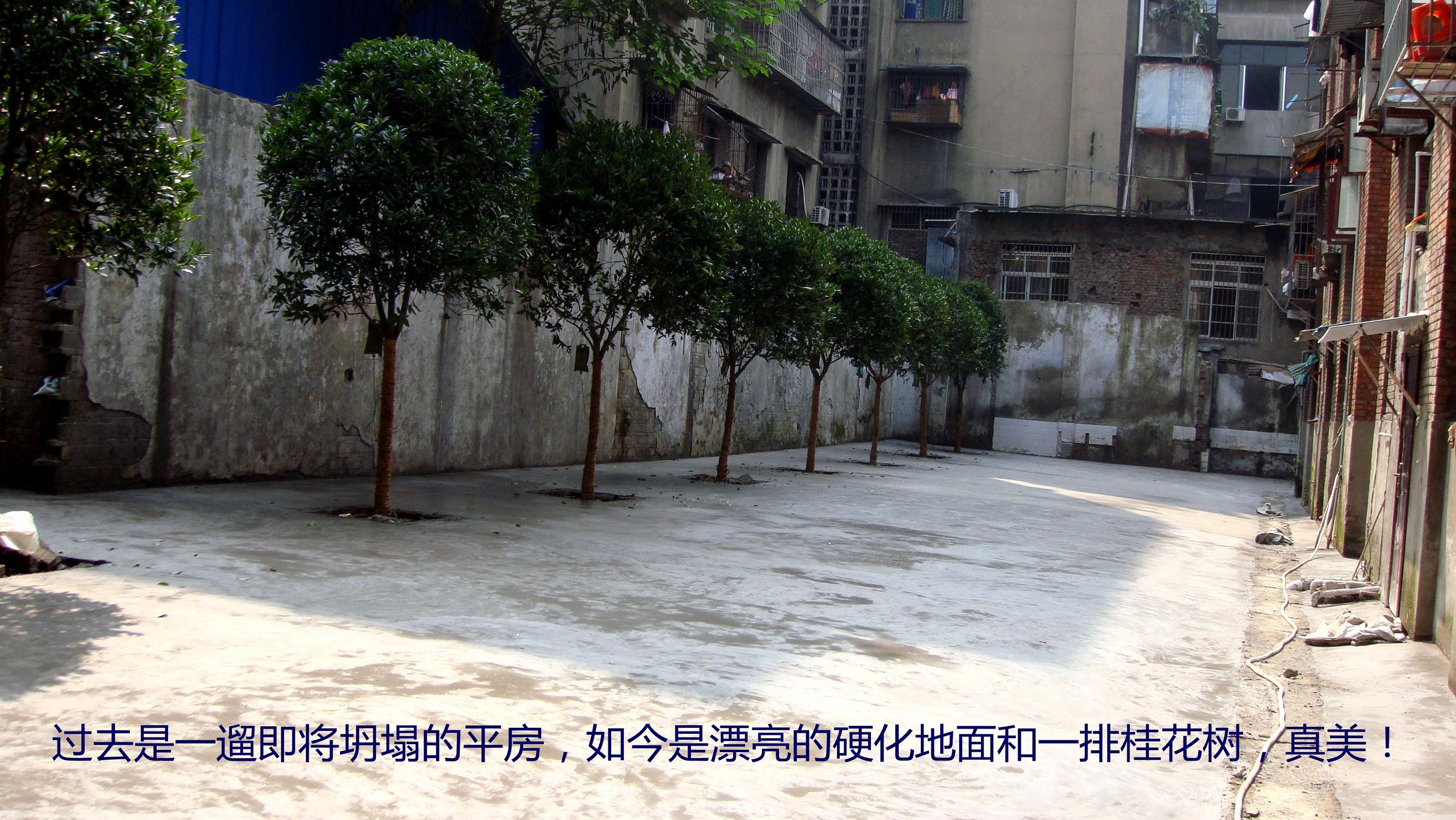 DSC01835__.jpg
