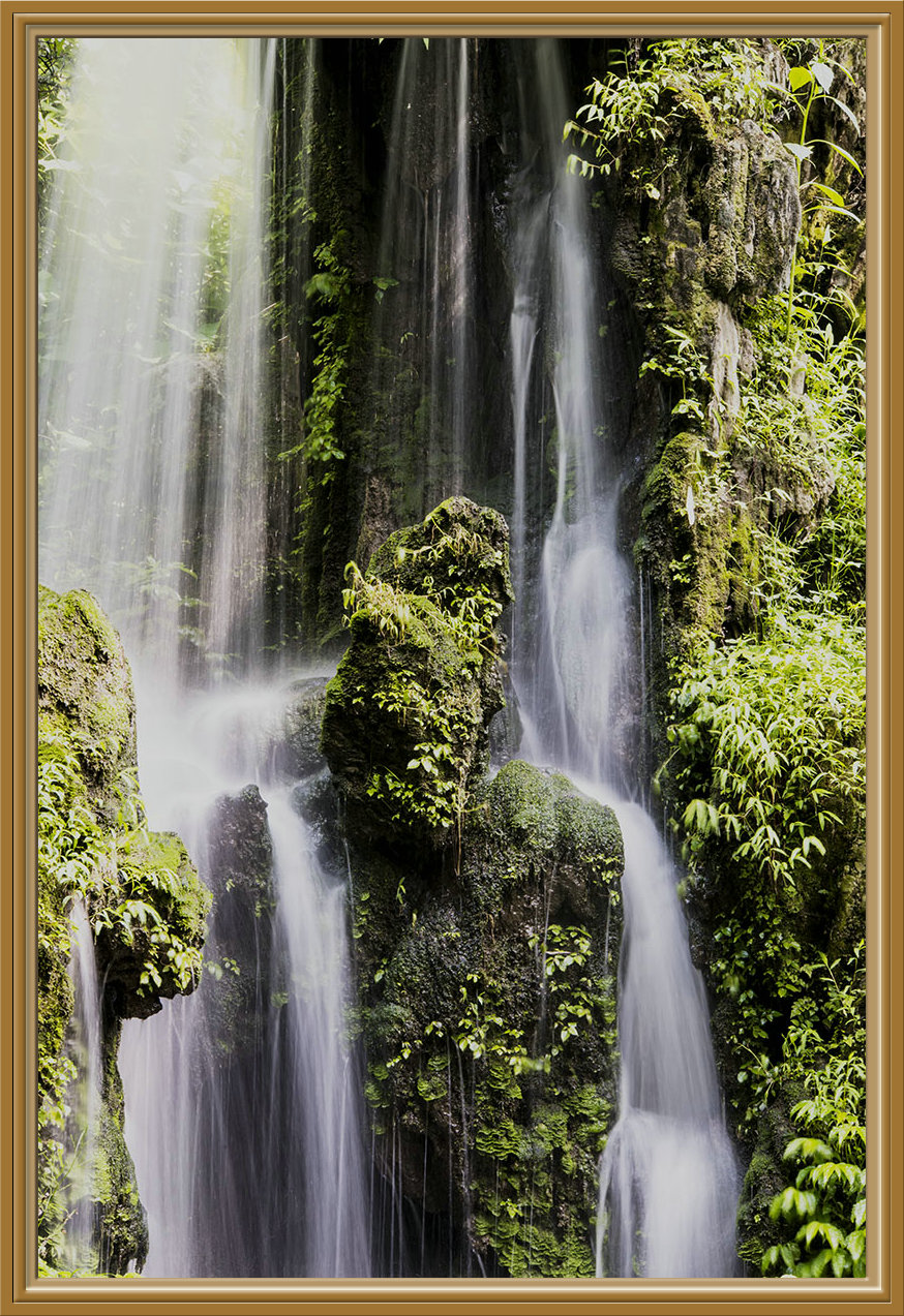 DSC_0276.jpg