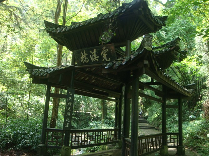 05.jpg