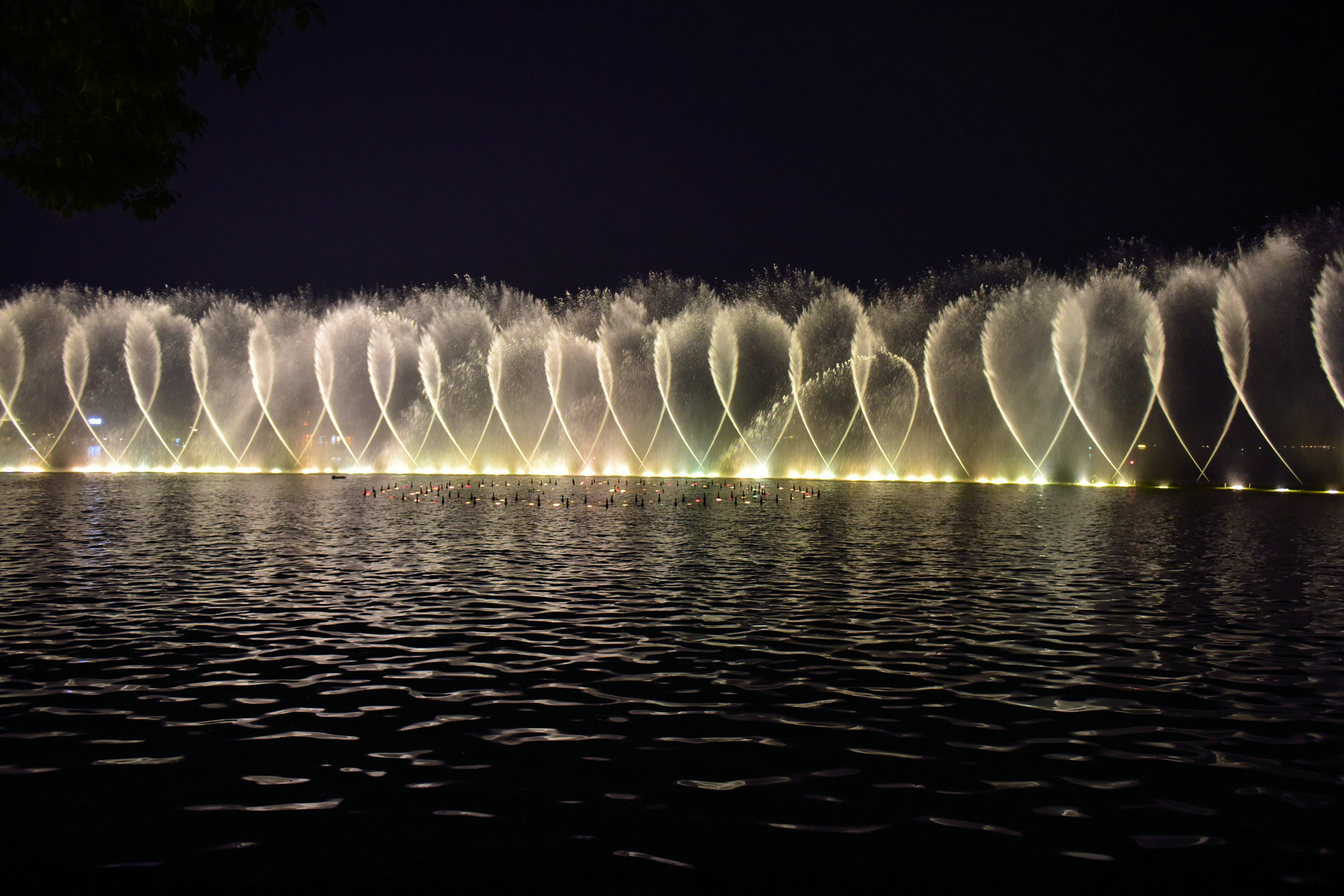 DSC_0950.JPG