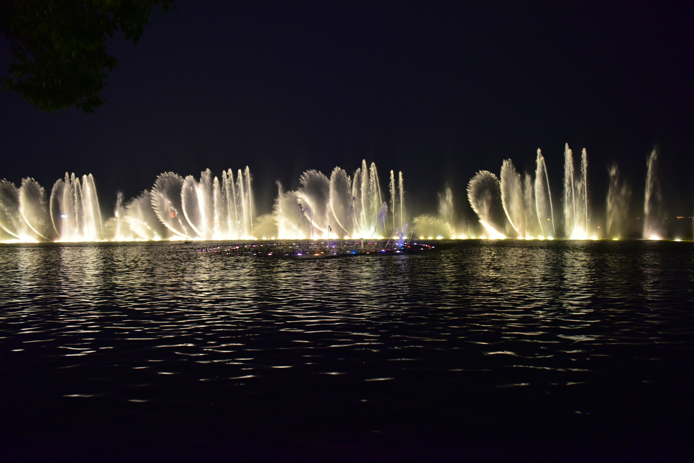 DSC_0964.JPG