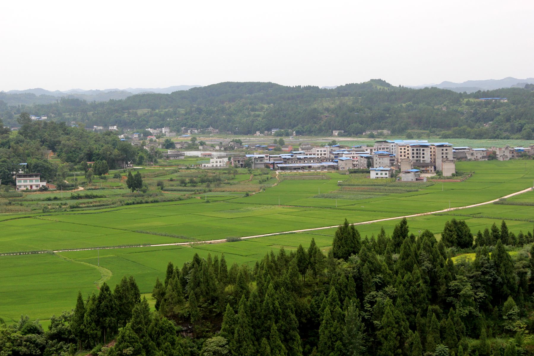 美蓬安系列】————嘉陵江江边魅力乡镇————蓬安县石梁乡