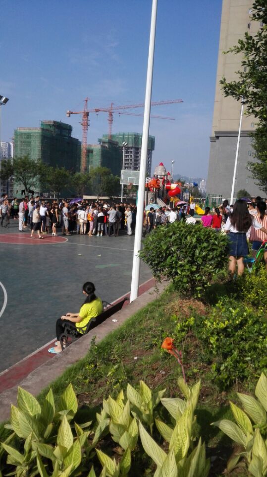 QQͼƬ20150716091443.jpg