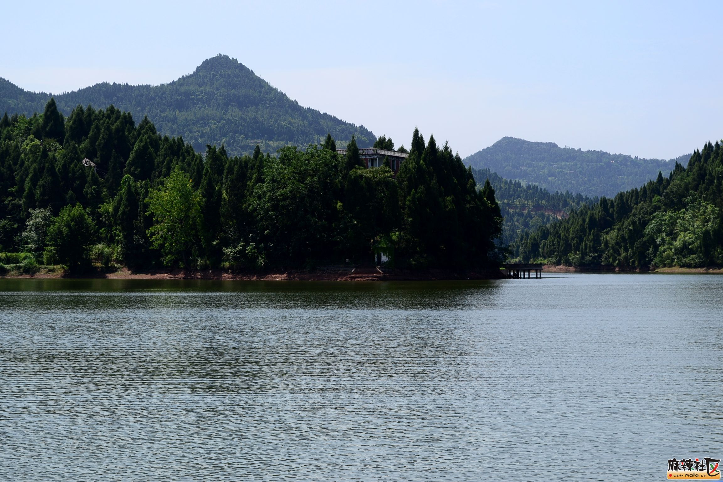 DSC_2998.JPG