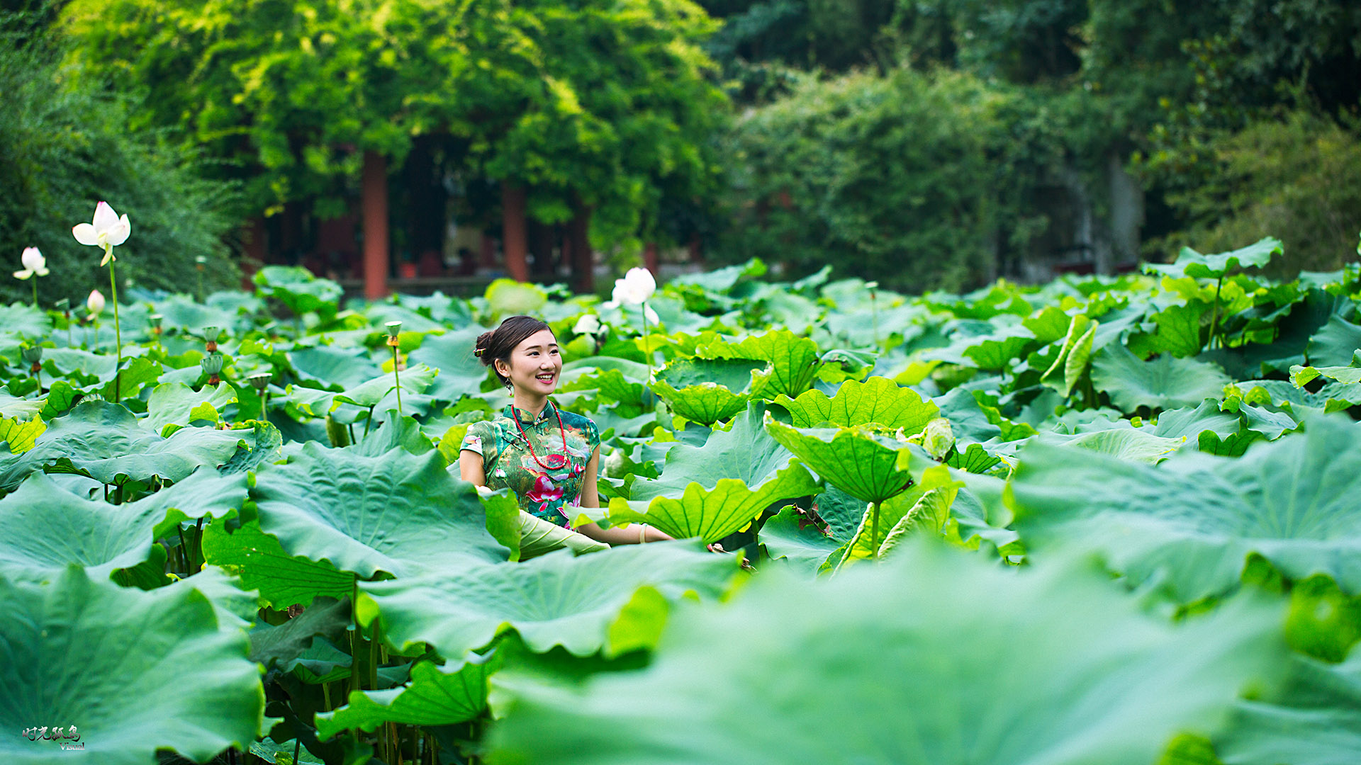 荷叶罗裙一色裁