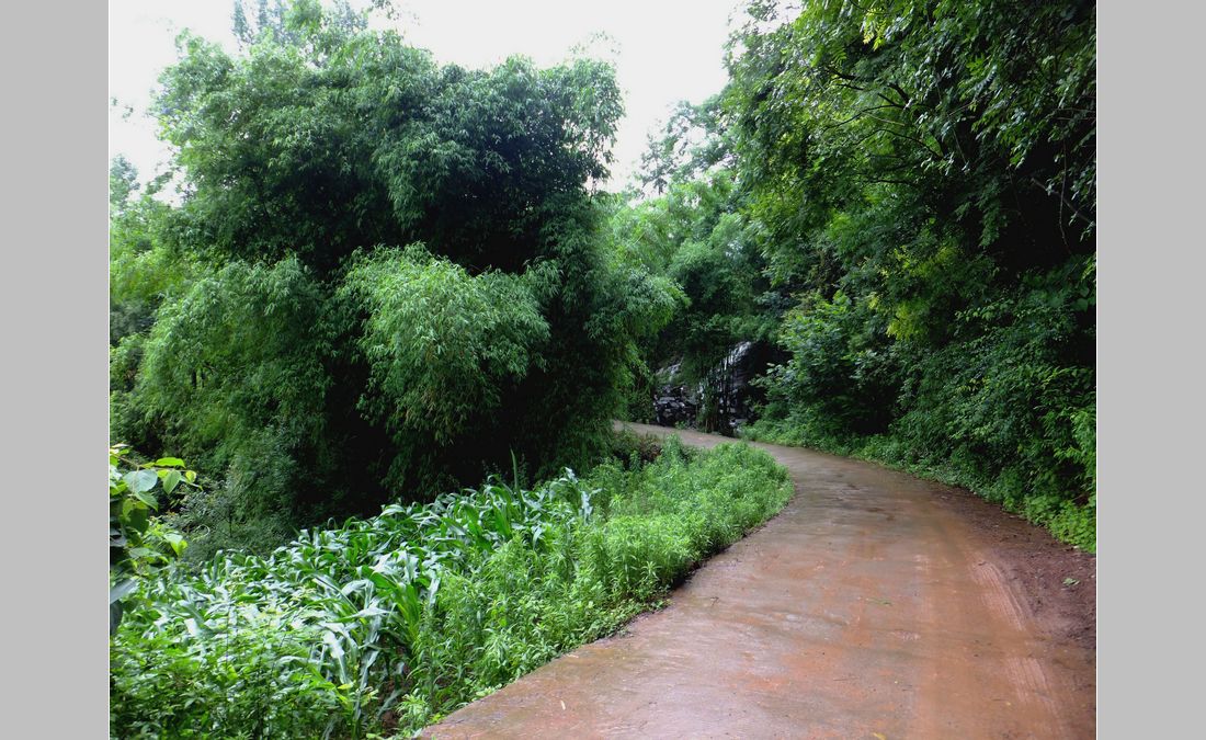 DSCF4015_.jpg