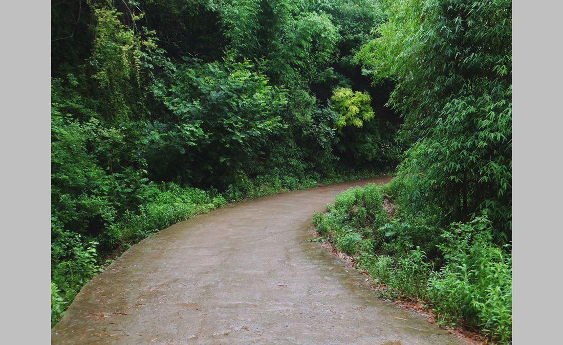 DSCF4025_.jpg