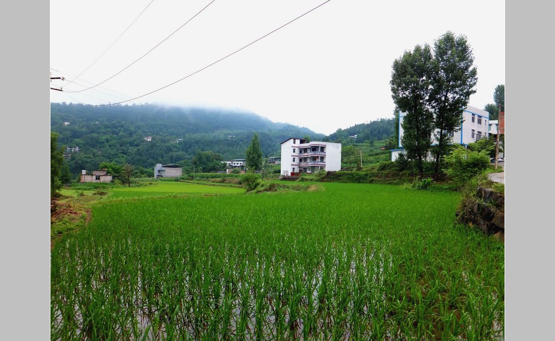 DSCF4031_.jpg