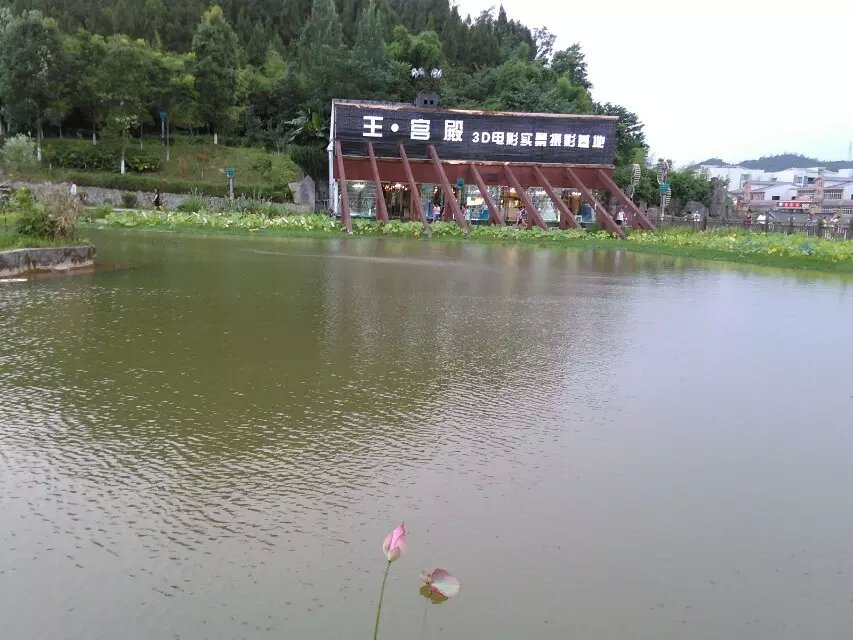 43.jpg